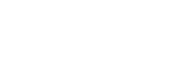Southern Wildfire Risk Assessment Portal